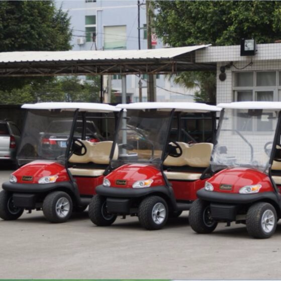 牌4座型号为A1S2 供应 电动观光车 2的高尔夫球车带翻转座椅