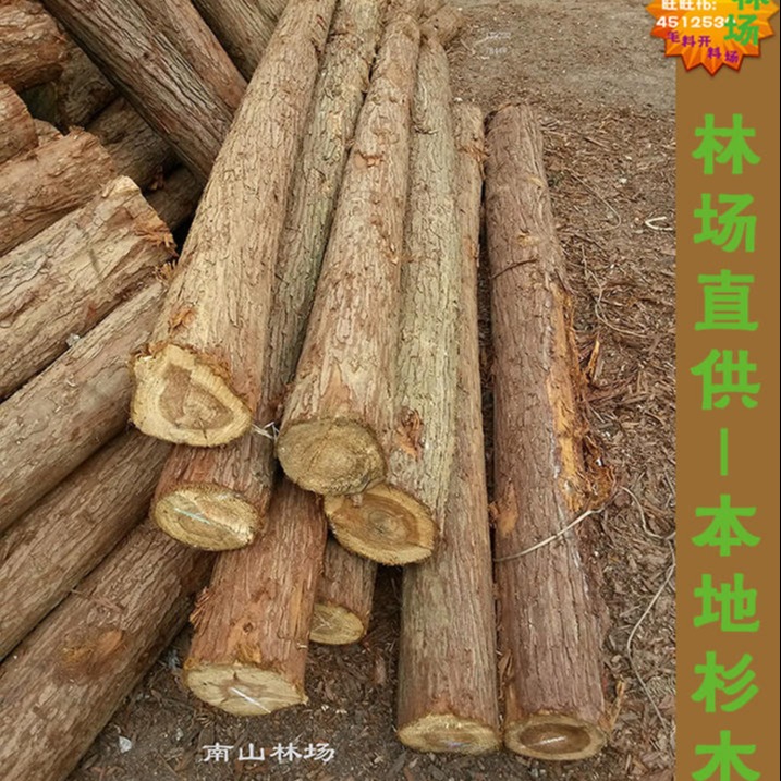 杉木木材杉木原木杉木桩木方木条板块加工房梁屋梁木柱使用木料2