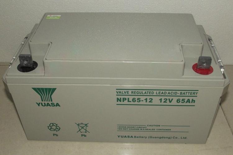 库存 现货 汤浅蓄电池NP24-12 铅酸免维护12V24AH蓄电池5