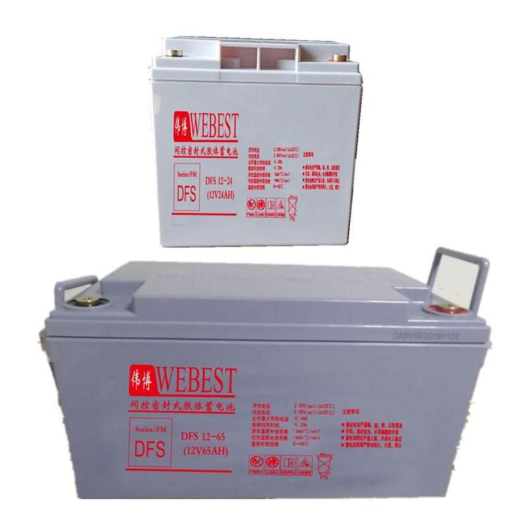 EPS储能电源 直流屏 12V65AH胶体蓄电池 伟博WEBEST蓄电池DFS12-653