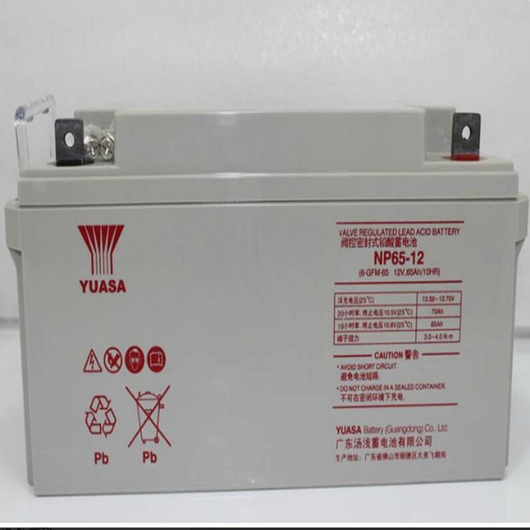 库存 现货 汤浅蓄电池NP24-12 铅酸免维护12V24AH蓄电池2