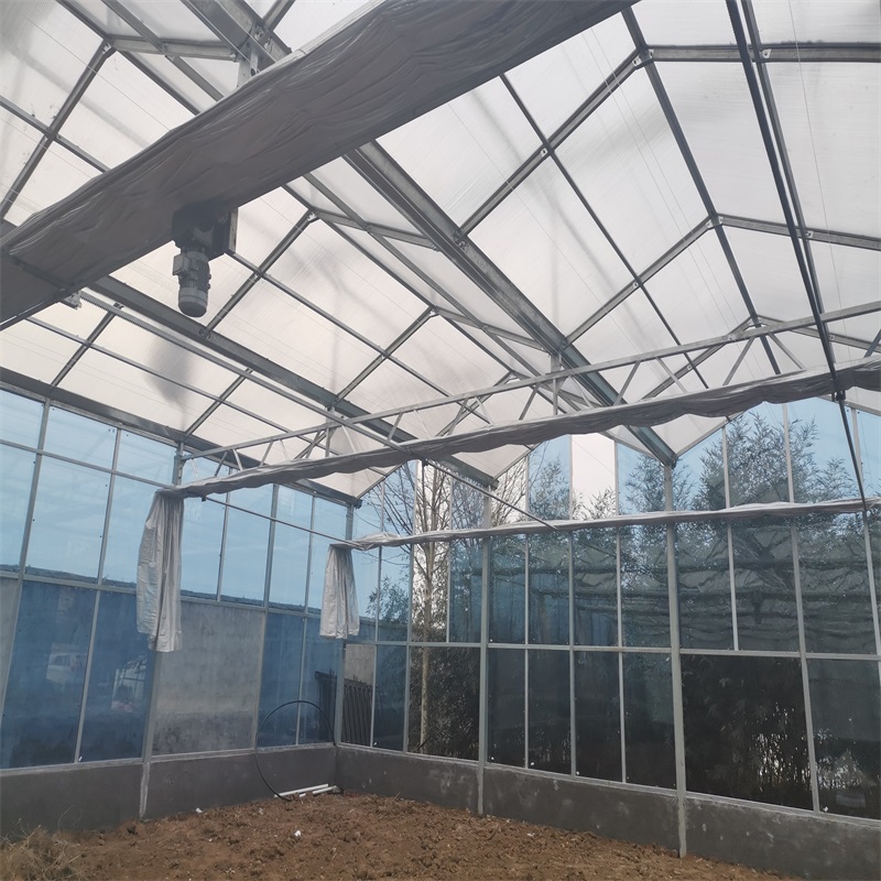 大连温室大棚 温室、大棚 瀚海草莓种植大棚 第五代温室5