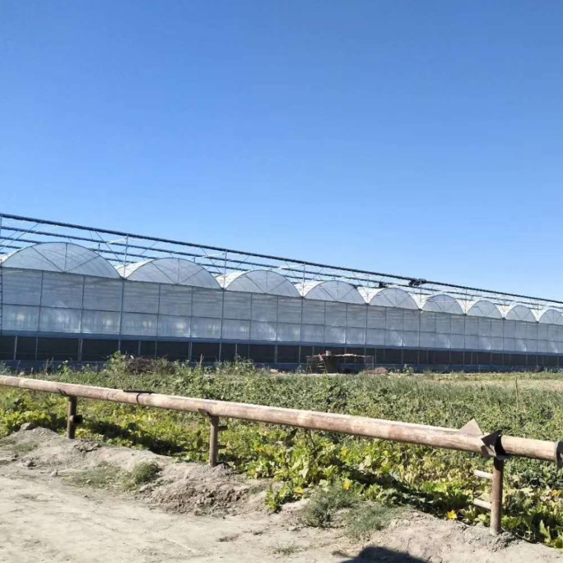 钢结构大棚 瀚海沧州玻璃温室大棚 温室、大棚 蔬菜大棚5