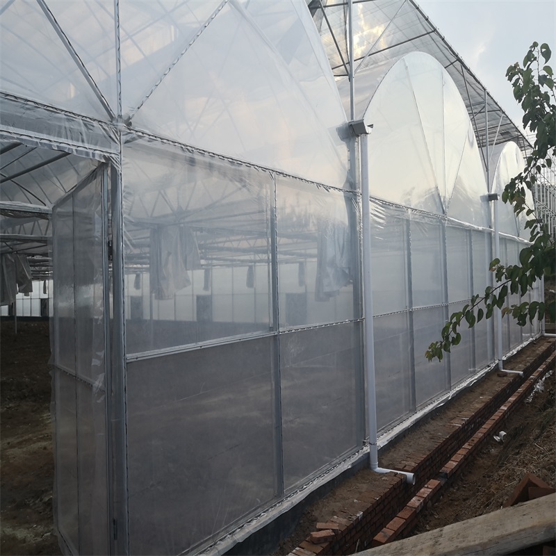 钢结构大棚 瀚海沧州玻璃温室大棚 温室、大棚 蔬菜大棚4