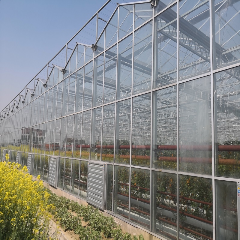 大连温室大棚 温室、大棚 瀚海草莓种植大棚 第五代温室1