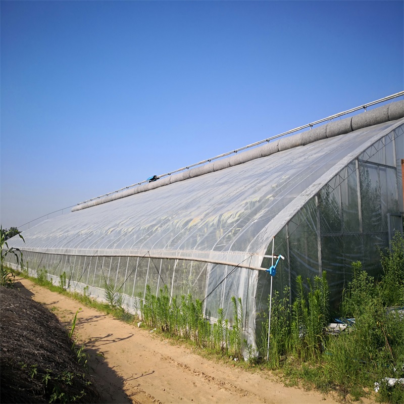 温室、大棚 瀚海车间大棚 创新型的太阳能大棚 智慧农业大棚设计5
