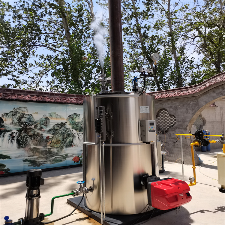 一诺锅炉 蒸汽锅炉设计生产 燃油热水锅炉 食品加工蒸汽锅炉2