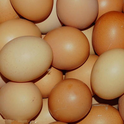 草鸡蛋 散养鸡蛋5
