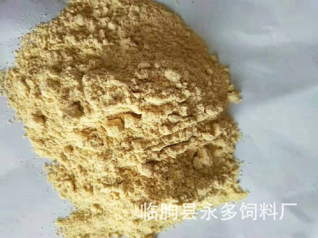 色泽金黄 营养高易消化 膨化玉米粉 销售膨化玉米粉 玉米经高温高压而成2