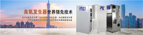 广州市大环臭氧设备供应 山西净水处理臭氧发生器 水杀菌消毒设备