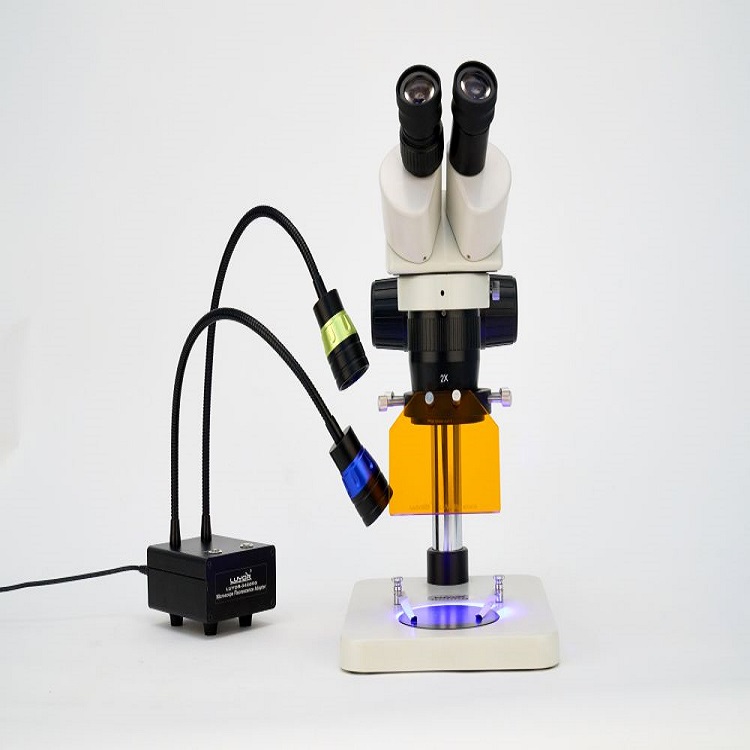 显微镜荧光适配器 LUYOR-3420-GFP荧光观察 RFP荧光观察1