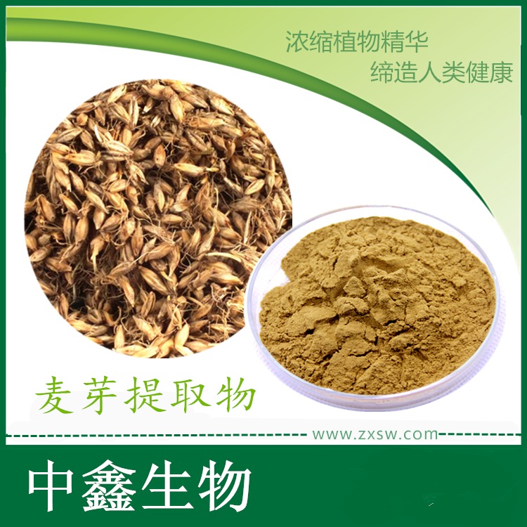 中鑫生物现货供应麦芽提取物 植物提取物 麦芽粉 麦芽提取物3