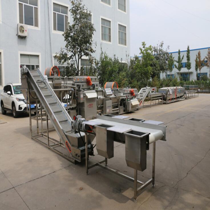 矩阵工业JK-zg-5中央厨房涡流清洗水果蔬菜加工线 果蔬加工设备2