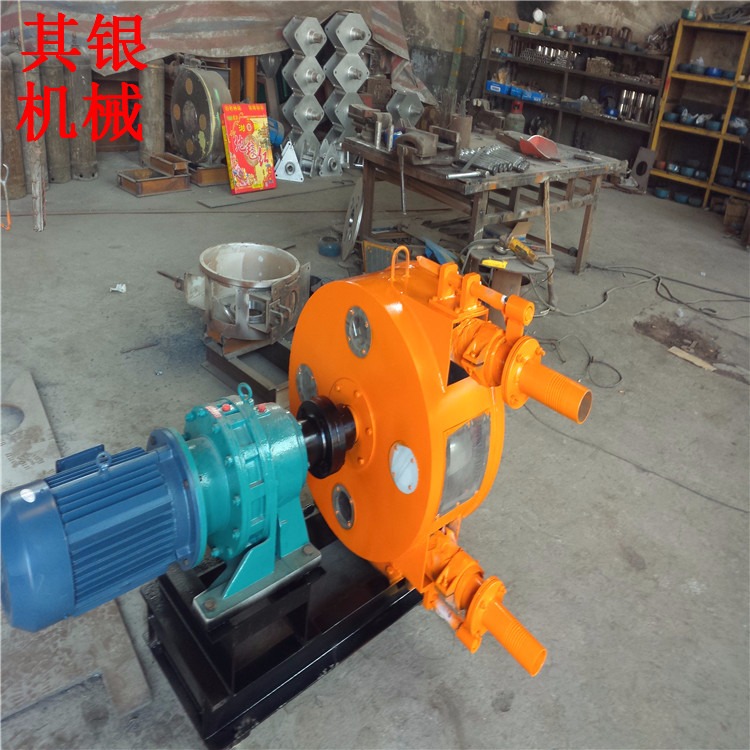 各种型号软管泵化工用软管泵 RGB系列软管泵 转子泵 其银生产3