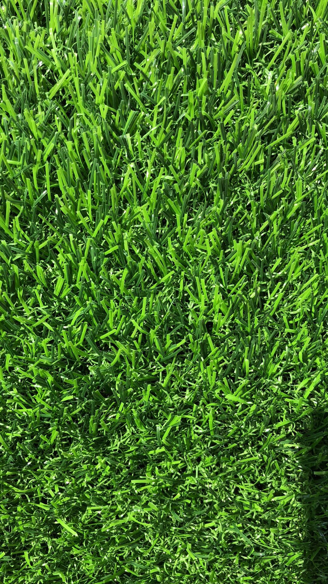 人造草坪厂家批发 绿阳人造草坪地毯 人造草坪地毯一平米4