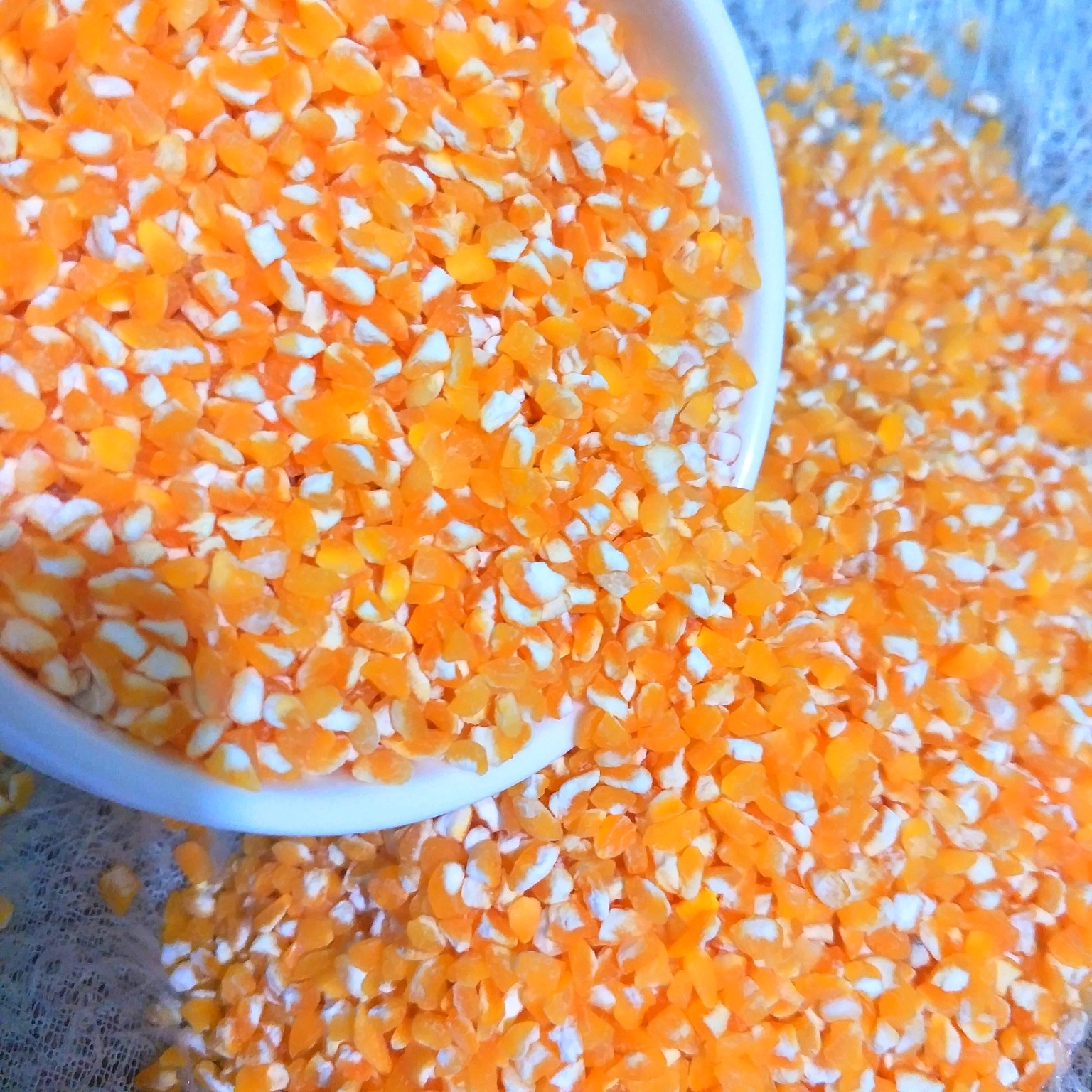 批发 玉米碎 天然黄玉米渣子玉米糁 干玉米粒 优质五谷杂粮4