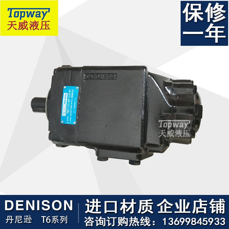 进口 原装DENISON丹尼逊T6DC-035-003-1R00-C100双联高压叶片泵3