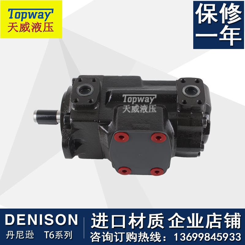 进口 原装DENISON丹尼逊T6DC-035-003-1R00-C100双联高压叶片泵4