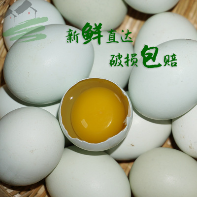 农家绿壳蛋鸡 正宗盐城乌鸡蛋 大量供应 土鸡蛋批发 开祥4