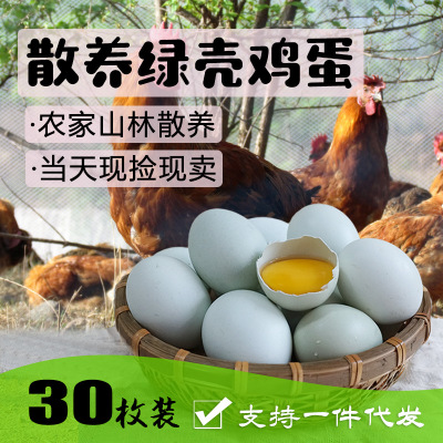 开祥 绿壳鸡蛋 正宗盐城乌鸡蛋 优质土鸡蛋 大量供应3