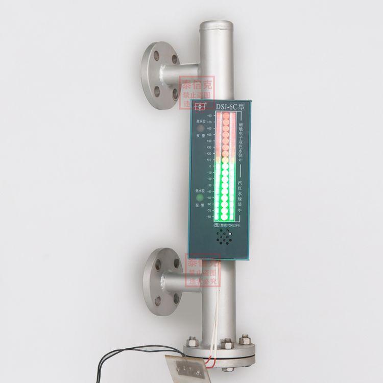 声光报警水位计 电子液位计 电子双色水位计 磁翻板液位计 双色液位计1