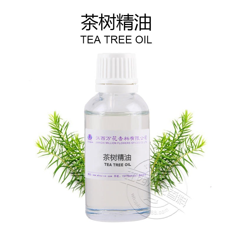 植物香料 量大价优 万花茶树精油 茶树精油 茶树单方精油厂家批发