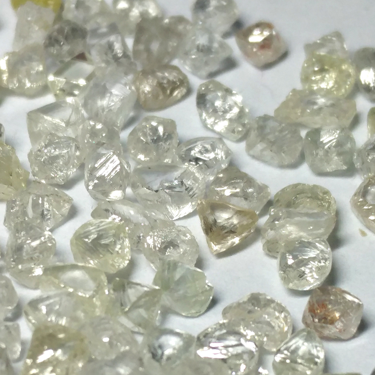 天然白色钻石原石金刚石颗粒5到70分净度颜色高钻石珠宝打磨3
