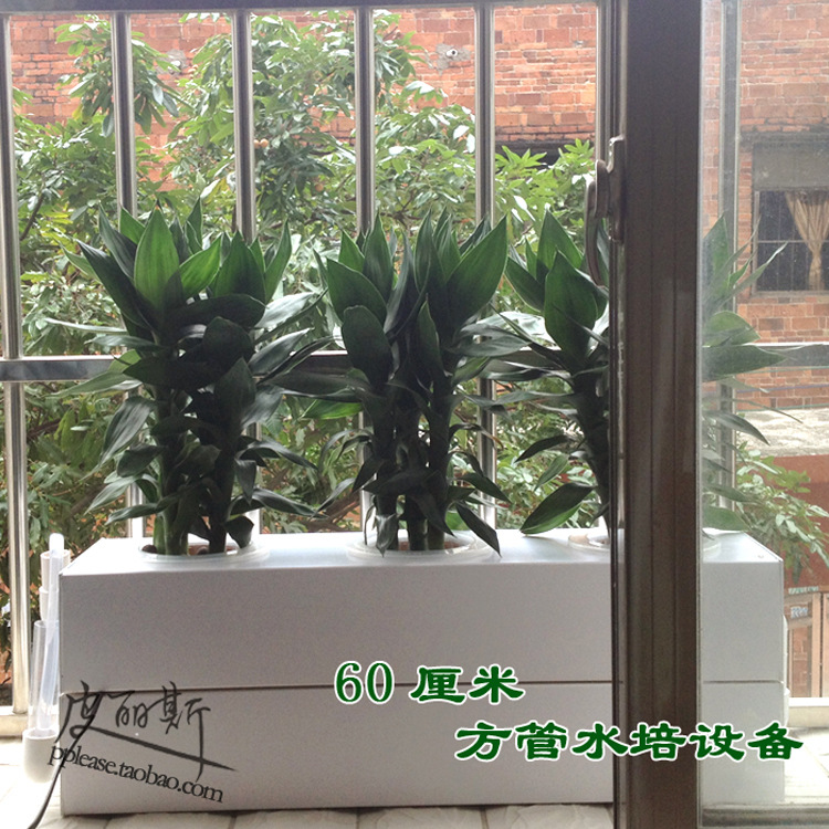 阳台植物瓜果水耕水培设备 方管无土栽培花架 办公室植物自动浇水