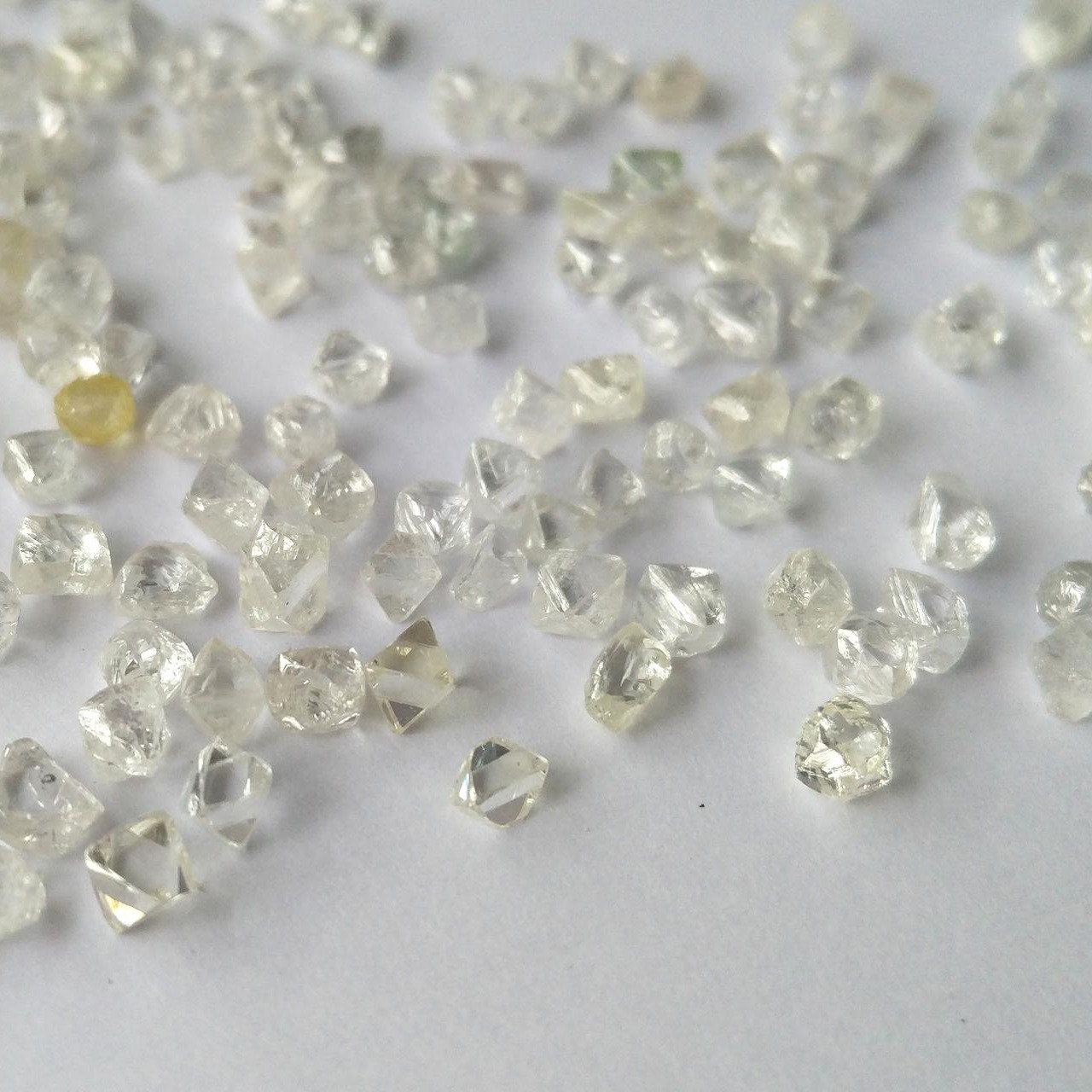 现货供应天然金刚石白色钻石原石5-70分宝石级白色钻石毛胚原料3
