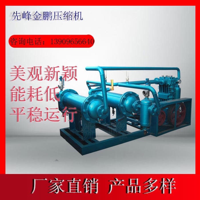 压缩设备 沼气压缩机安徽蚌埠厂家全国发货 先峰ZW0.5 12