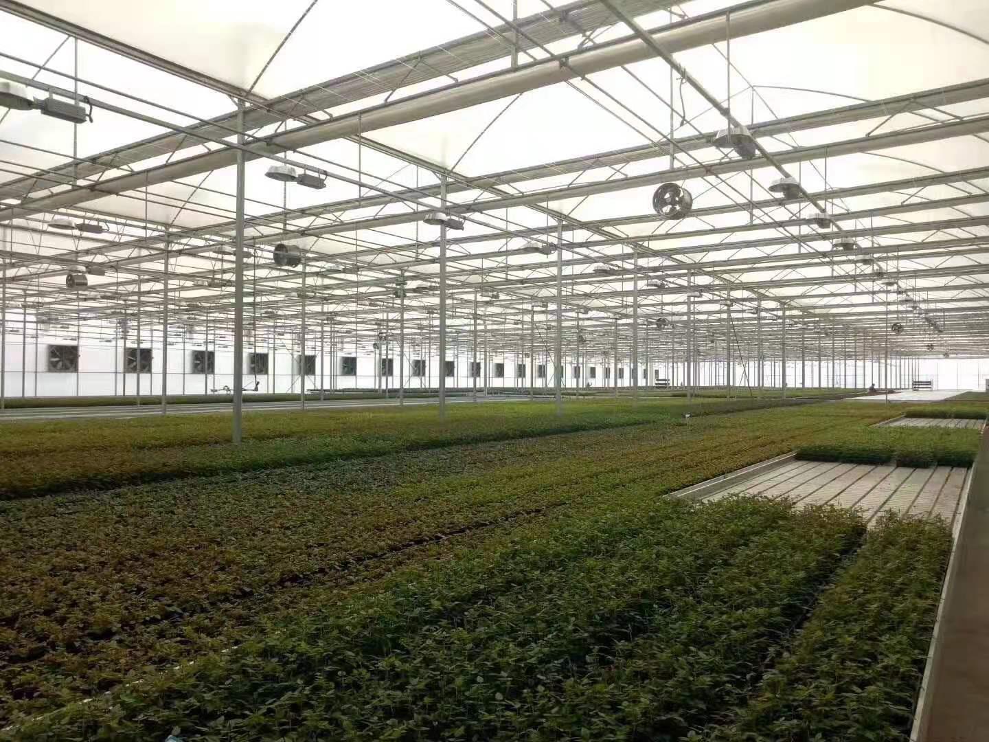 其他农业 金农保温室大棚玻璃温室配件系统3