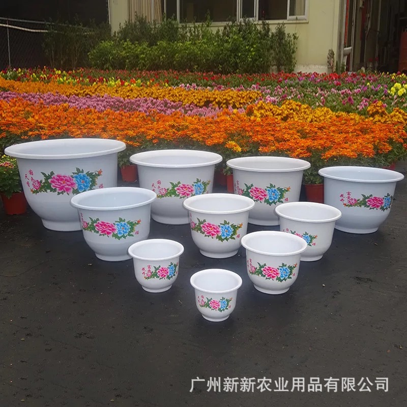 花盆容器 牡丹彩色花盆 塑料花盆