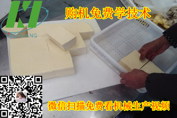 河北大豆腐加工设备 购机免费技术培训 豆腐机豆制品加工机器1