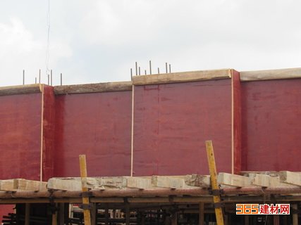 11层桉木建筑模板 仪器仪表 可重复多次使用 厂家直供10