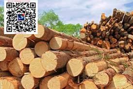 澳洲酸枝 仪器仪表 红木家具原木出口批发商