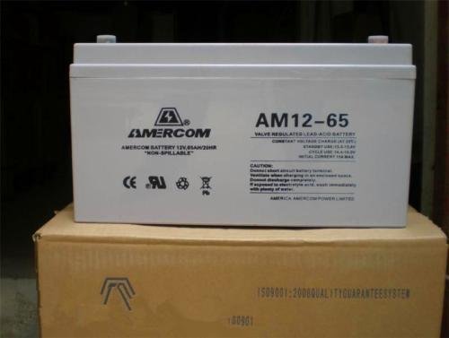 美国艾默科蓄电池AM2全系列 仪器仪表