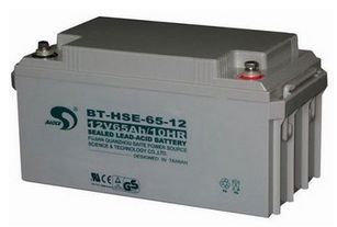 BT-HSE-65-12赛特直流屏电池 仪器仪表