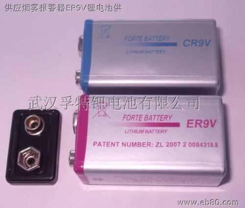 10.8V 高容量锂亚硫酰氯电池 仪器仪表 ER9V1