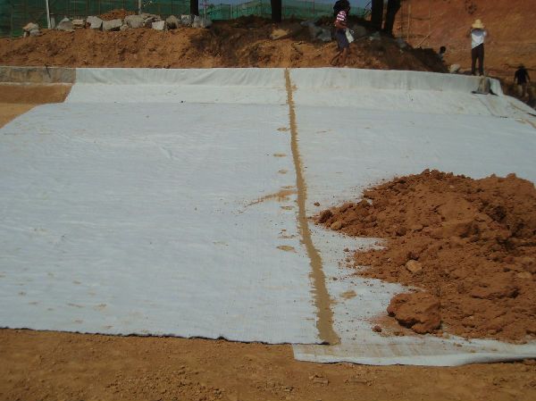 针刺覆膜法天然钠基膨润土防水毯 通用包装