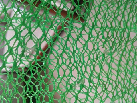 通用包装 绿色三维土工垫植被网1