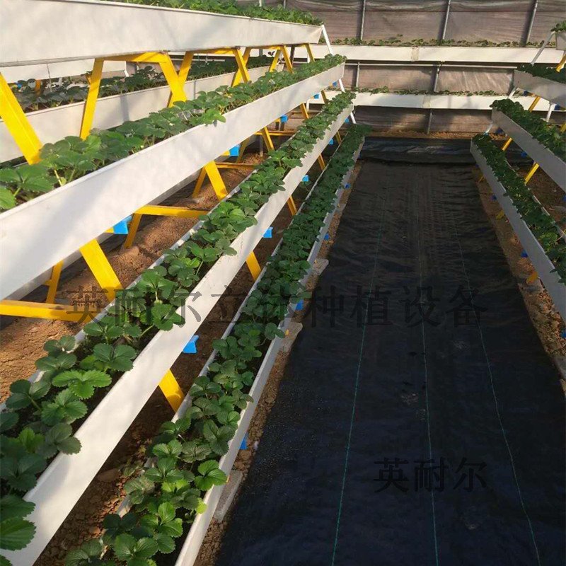 英耐尔制造 草莓立体基质槽 塑料建材 无土栽培槽1