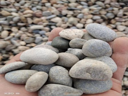 园林铺路石 厂家供应优质鹅卵石 石材