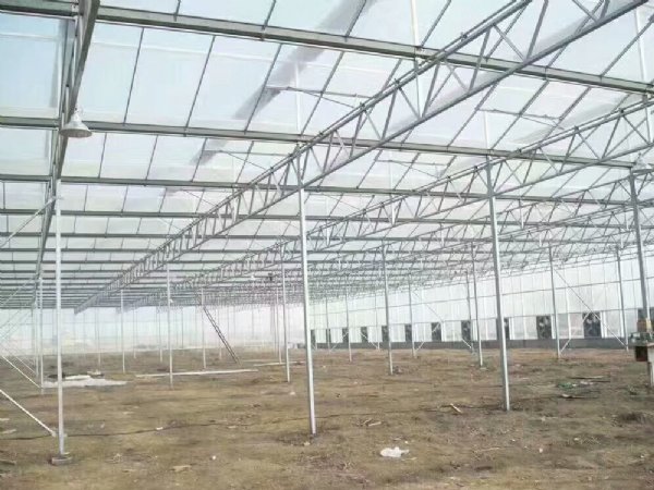 玻璃温室大棚蔬菜大棚养殖大棚文洛式智能大棚 建筑结构钢板