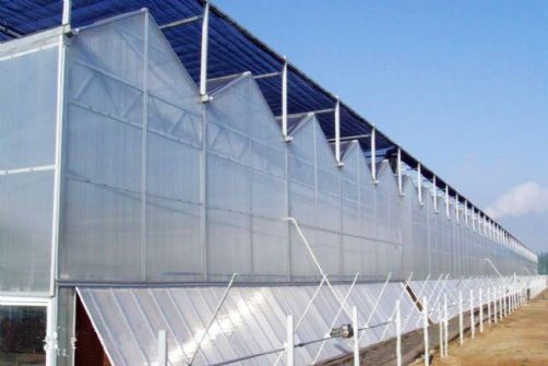 设计玻璃温室大棚质量好价格低 建筑结构钢板