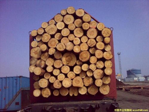 乌克兰进口樟子松原木 建筑结构钢板