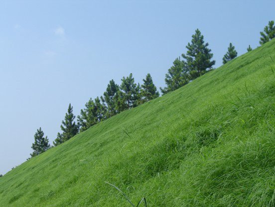 山体植草复绿生态修复 园艺工具 边坡绿化施工