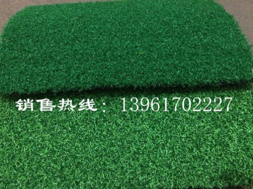 浙江高尔夫球场人造草坪 园艺工具