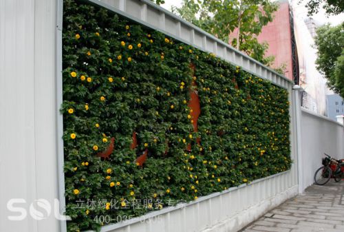 索尔SL-Y5012墙面垂直绿化系统 园艺工具