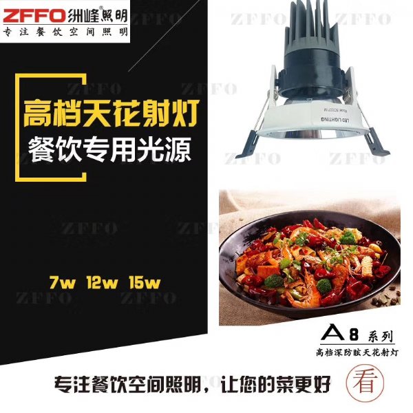 河南郑州ZFFO洲峰照明专注餐饮照明之高端酒店射灯1
