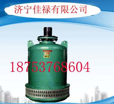 N潜水泵 BQS80-40-22 工程机械、建筑机械